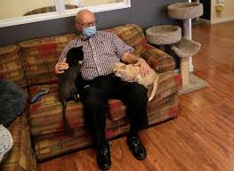 Using repeated camera trap surveys we. Cat Grandpa The Safe Haven Volunteer Who Went Viral For Napping With Cats Is Back On Duty And Lifting Spirits During The Pandemic