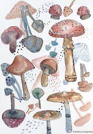 Pin On Flora And Fauna Artwork
