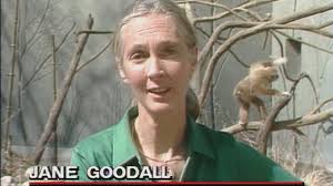 Mysterious mass poisoning for Titanic movie crew in 1996