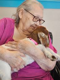 Medicine Wheel Village added a...