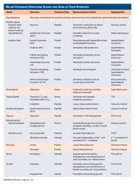 endocrine system hormones chart google search endocrine