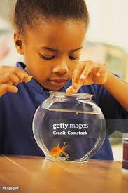 18,136 Fish Child Stock Photos, High-Res Pictures, and Images