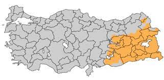 Lübnan'daki şiî hizbullah'la adaşlıktan ve i̇ran'a duyulan yakınlıktan gayrı hiçbir ilişkisi olmayan hizbullah'ın (arapça: Kurden In Der Turkei Wikiwand