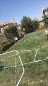 Backyard Mansion Soccer Field