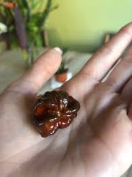 Any safety information i need to know about said materials, handling, storage, ignite. Dragon S Breath Pepper 2 48 Million Scoville Points How Do I Make Salsa That Won T Be Too Hot Be Edible Salsasnobs