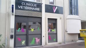 Clinique Vétérinaire du Dr Fekete