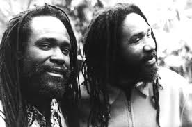 DENM Vinyl Records & Discography