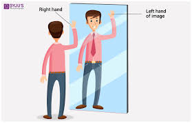 What Is Lateral Inversion? - Explained With Examples - Teachoo