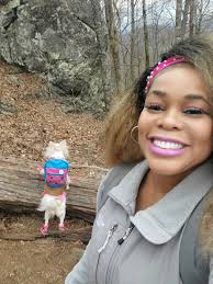 Adoptable nosey dog needs forever home