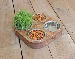 Cat Food And Water Bowls Etsy Cat Food Bowl Cat Feeding Station Cat Food Station
