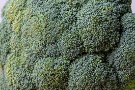 We did not find results for: Does Broccoli Go Bad