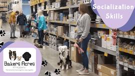 BAKERS ACRES K9 ACADEMY | Utah County's Family Dog...