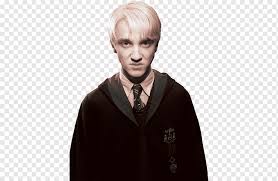 Though she was not a death eater herself, she at least nominally supported lord voldemort and is a blood purist. Draco Malfoy Tom Felton Lucius Malfoy Narcisa Malfoy Harry Potter E A Pedra Filosofal Harry Potter Draco Malfoy Tom Felton Narcisa Png Pngwing
