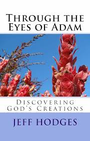 Through the Eyes of Adam See more