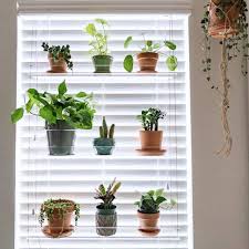 window plant shelf clear etsy