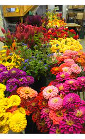 Maybe you would like to learn more about one of these? The Flower Podcast