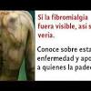What it is, getting diagnosed, treatment options, and tips for living with the condition. 1