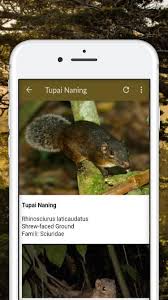 Maybe you would like to learn more about one of these? Tupai For Android Apk Download