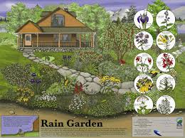How Do You Prevent The Pollutants That Are Ever Present In Our Environment From Contaminating The Lak Rain Garden Rain Garden Design Native Plant Landscape