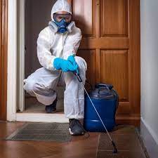 Modern pest control treatment