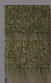 Image result for Vernonia accommodata