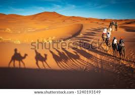 Fahad al ahmad camel racing track, kuwait. Shutterstock Puzzlepix