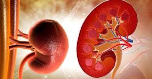 We did not find results for: How To Lower Creatinine Remedies For High Creatinine