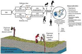 Exploring A Multi Exposure Pathway Approach To Assess Human Health Risk Associated With Groundwater Fluoride Exposure In The Semi Arid Region Of East India Sciencedirect