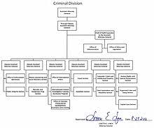 United States Department Of Justice Criminal Division