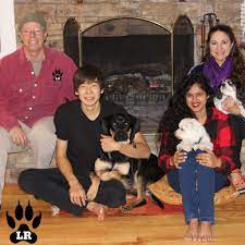 The world of harry potter has captured the hearts and minds of readers across the globe for the past two decades. 170 Of The Best Harry Potter Dog Names Labrottie Com