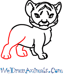 Illustrate the claws on its feet. How To Draw A Baby Tiger In 7 Easy Steps