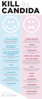 Pin By Lonnie Walls On Bites Skinny Snacks Treats Drinks More Candida Diet Recipes Candida Diet Hypothyroidism Diet