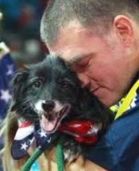 La Brise Pyrenean Shepherds & Great Pyrenees