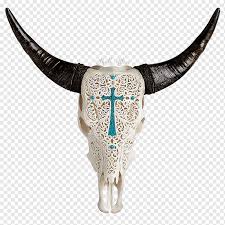 Descended from cattle that thrived in arid parts of southern iberia, these cattle have been bred for a high dr. Texas Longhorn Human Skull Symbolism English Longhorn Skull Head Animal Human Skull Symbolism Png Pngwing