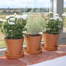 Check out our bamboo pot selection for the very best in unique or custom, handmade pieces from our planters & pots shops. Bamboo Pots And Saucers From Mr Fothergills Seeds And Plants