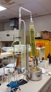 Extraction is a separation technique based on differences in solubilities of substances in two immiscible solvents (usually water and a water insoluble organic solvent). Extracting Essential Oils In The Lab Phytochemia
