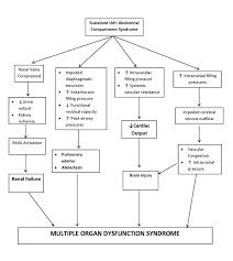 Acs Pathophysiology Case Study 9 Blunt Abdominal Trauma