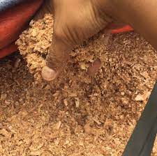 Habuk kayu translated to english. Habuk Kayu Photos Facebook