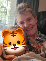 Introduction and photo from mt. fiji