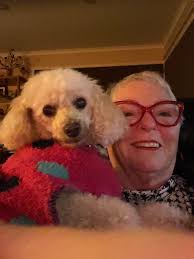 Poodle puppy reaches 10 months old