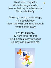0%0% found this document useful, mark this document as useful. Butterfly Cycle By Suzy Gazlay Hatch Hatch Little Egg I M So Very Small Teeny Tiny Caterpillar You Can T See Me At All Crawl Caterpillar Crawl Ppt Video Online Download