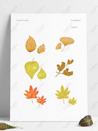 1,000+ vectors, stock photos & psd files. Withered And Yellow Png Images With Transparent Background Free Download On Lovepik Com