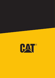 Allow the rounds to dry. Bedienungsanleitung Cat B35 32 Seiten