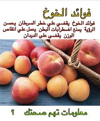 Pin On صحتك أولا