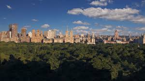 Central park is an urban park in new york city located between the upper west and upper east sides of manhattan. Central Park Suite Luxury Hotel Suite Central Park
