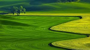 Download our new high resolution nature wallpapers! Free Download Full Hd Nature Wallpapers For Pc Desktop Backgrounds Desktop Background