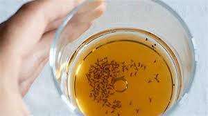 Χρήσιμες συμβουλές για το πώς να απαλλαγείτε από τις μύγες στην κουζίνα