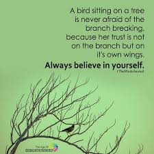 Bird Sitting On Branch Quote A Bird Sitting On A Tree Is Never Afraid Of The Branch Breaking Tree Quotes Journey Quotes Quotes