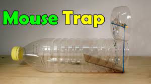 Best plastic bottle mouse trap with impr. Youtube Homemade Mouse Traps Diy Mouse Trap Mouse Traps