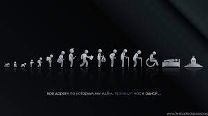 They always make us laugh! Funny 4k Wallpapers Wallpaper Cave